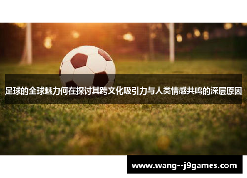 足球的全球魅力何在探讨其跨文化吸引力与人类情感共鸣的深层原因 足球的全球魅力何在探讨其跨文化吸引力与人类情感共鸣的深层原因