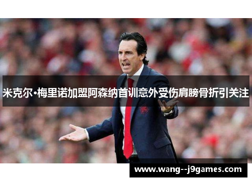 米克尔·梅里诺加盟阿森纳首训意外受伤肩膀骨折引关注